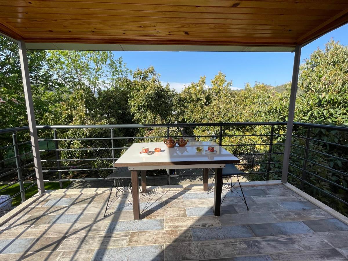 Avohomes Holiday home *