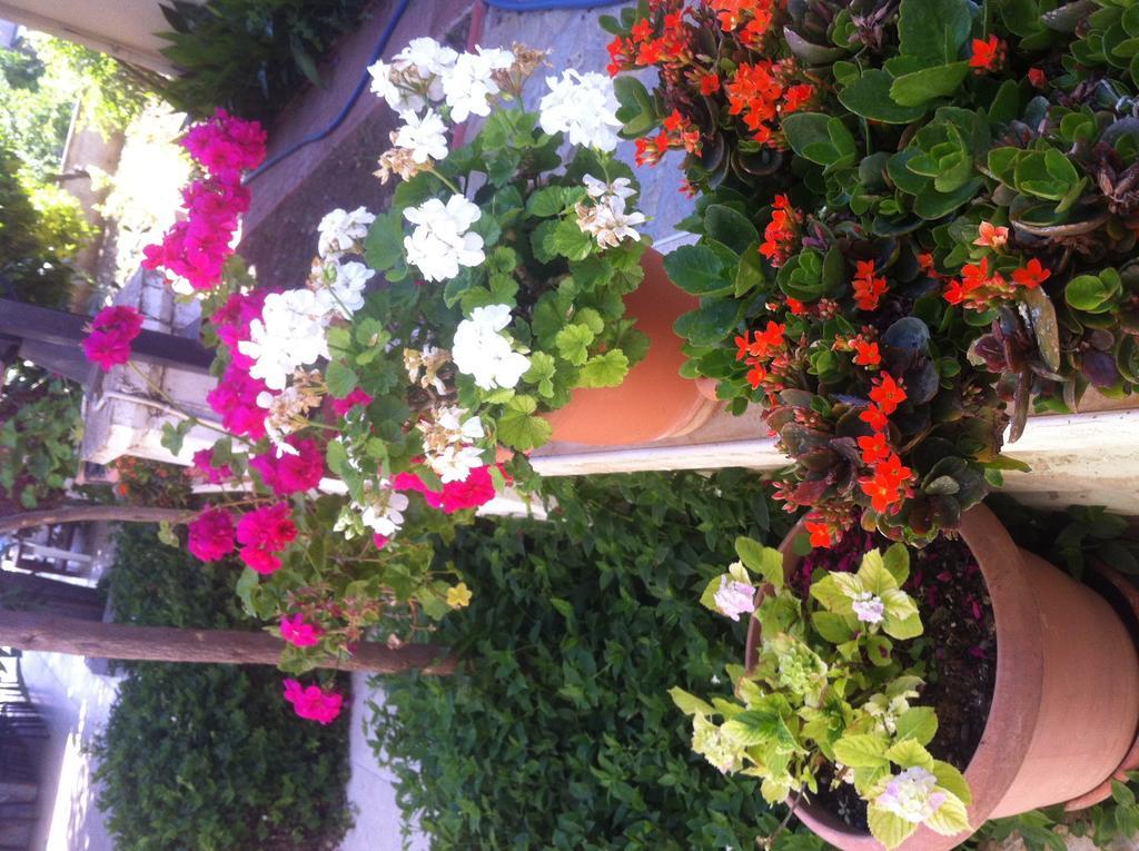 Besik 3* Fethiye