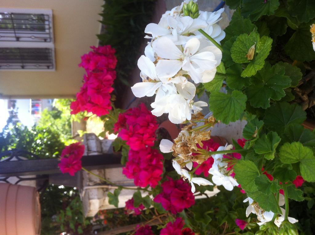 Besik Hotel Fethiye