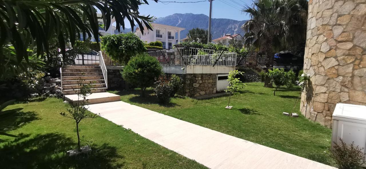 Palm Villa *