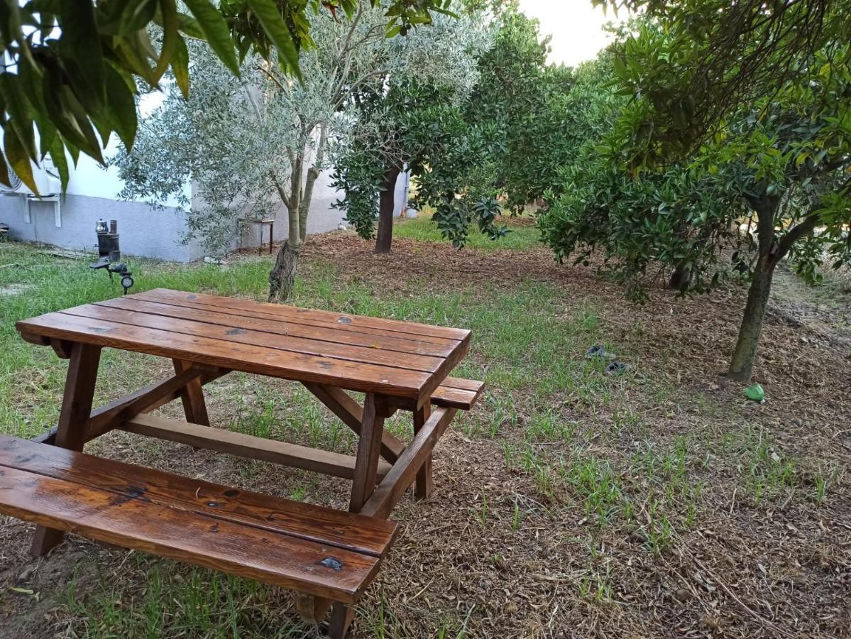 Avci Villa-fethiye 3+1 In Garden With Private Pool, 10 Minutes To The Beach