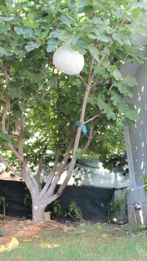 Vakantiehuis Aloanda House Fethiye