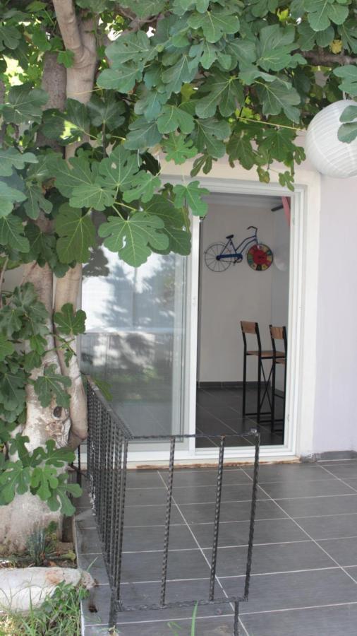Aloanda House