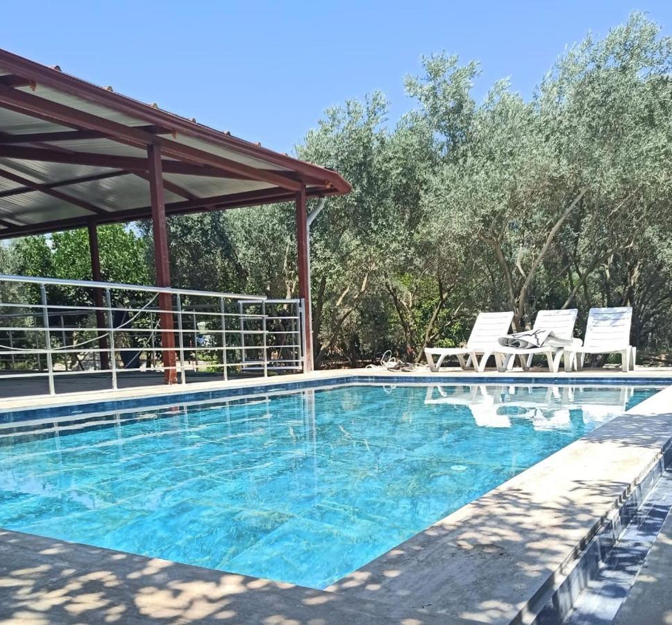 Villa Avci Villa-fethiye 3+1 In Garden With Private Pool, 10 Minutes To The Beach *