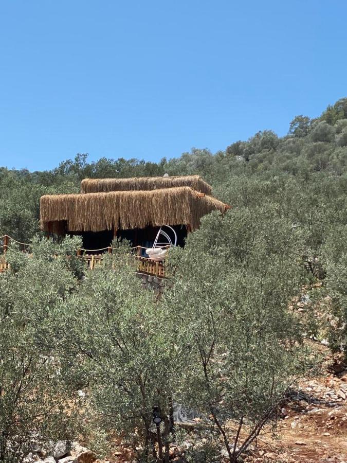 Holiday home Lovin Gocek & Tiny House Mermaid Fethiye