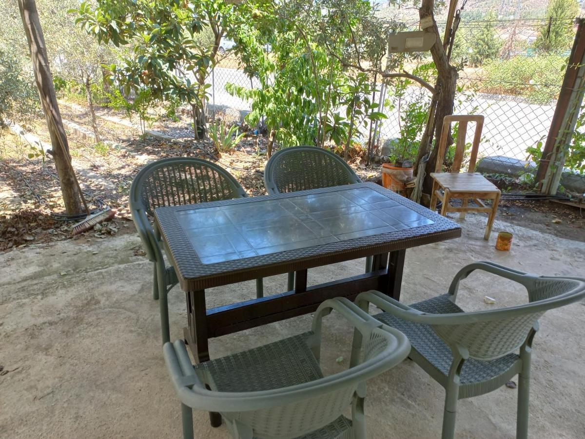 Adventurous Local * Fethiye