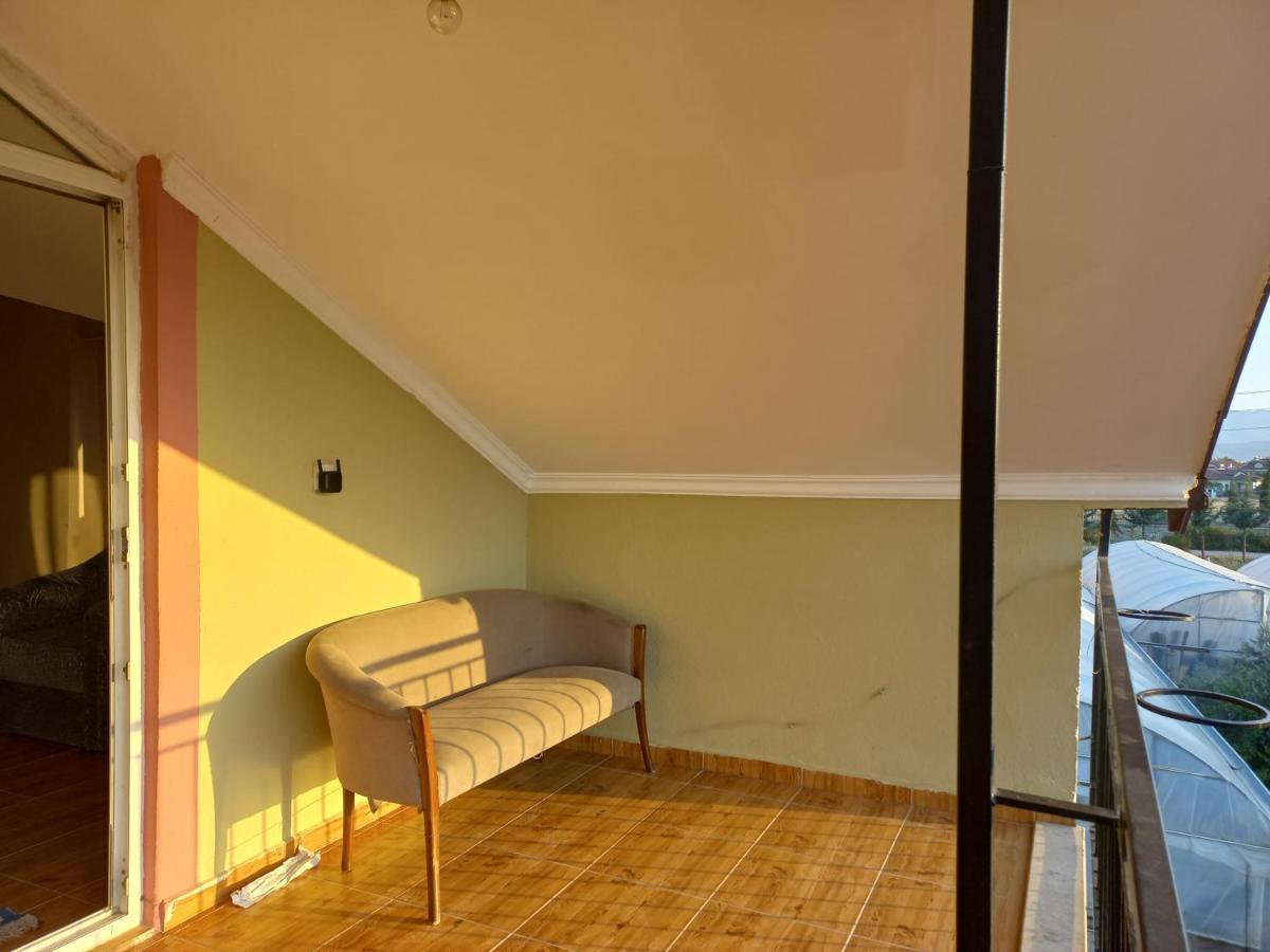 Oda ve Kahvaltı Sunshine Guest House With Terrace