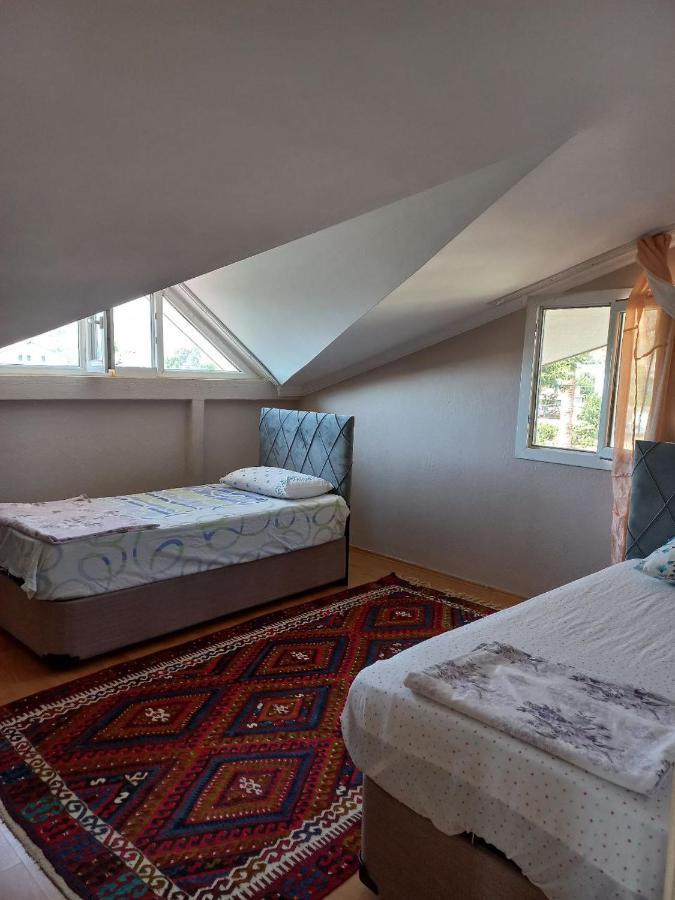 Sunshine Guest House With Terrace