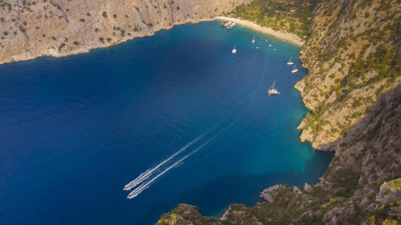 Kelebek Faralya * Fethiye