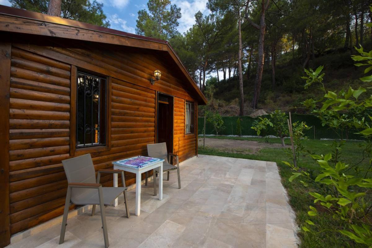 Villa Kelebek Faralya Fethiye