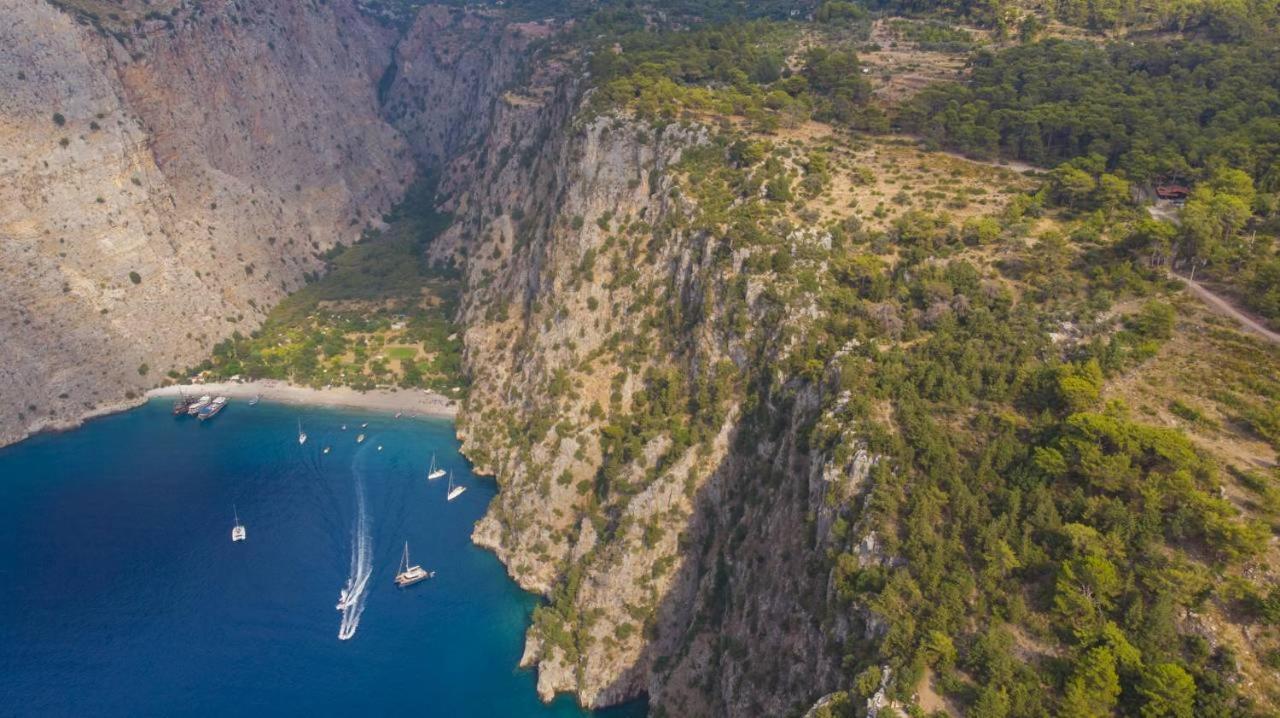 Kelebek Faralya Fethiye