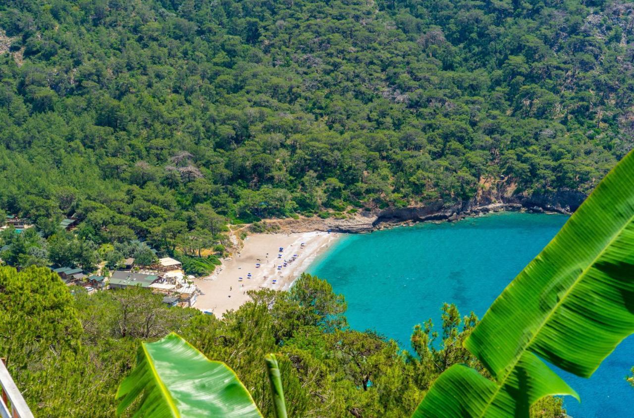 Oda ve Kahvaltı Manzara Bungalow