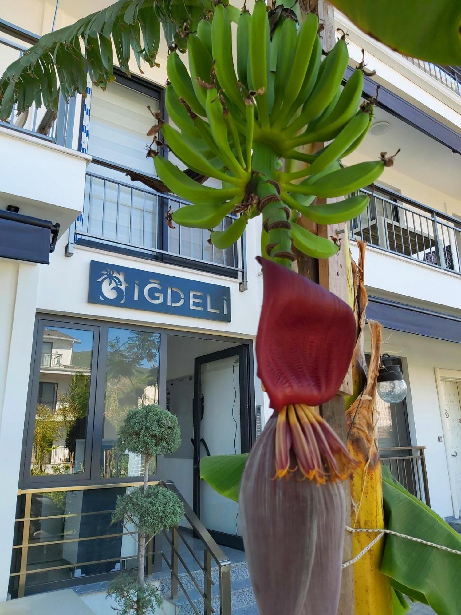 Igdeli Aparts Aparthotel *