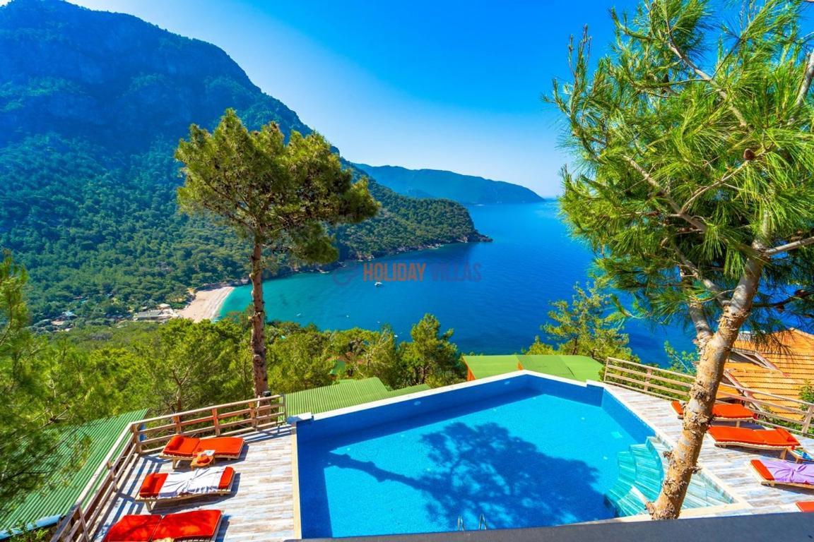Bed & Breakfast The View