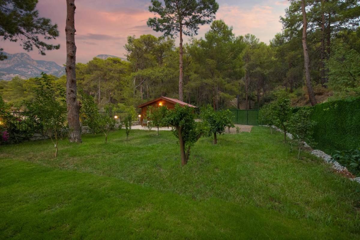 Villa Kelebek Faralya *