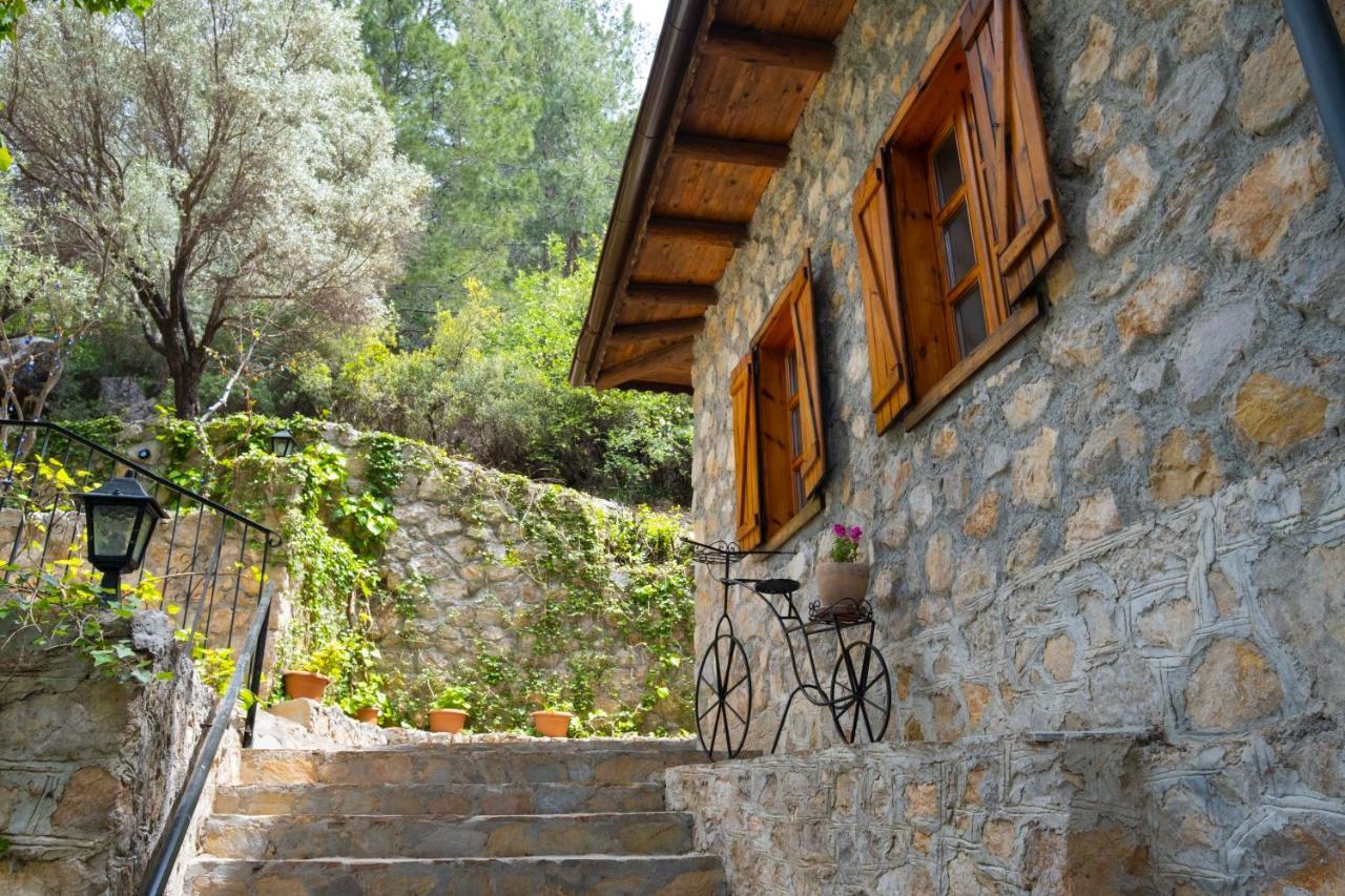 Watermill & Faralya Hotel *
