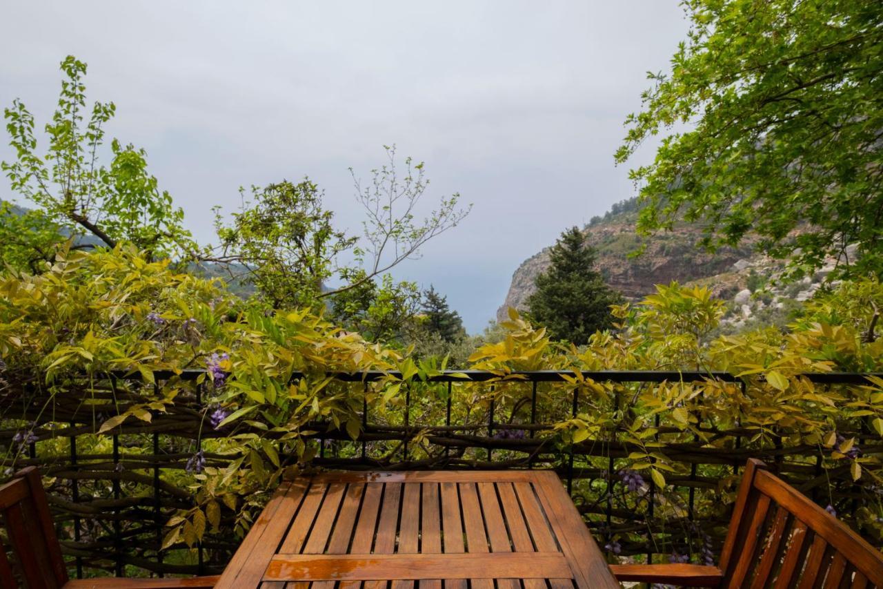 Watermill & Faralya Hotel