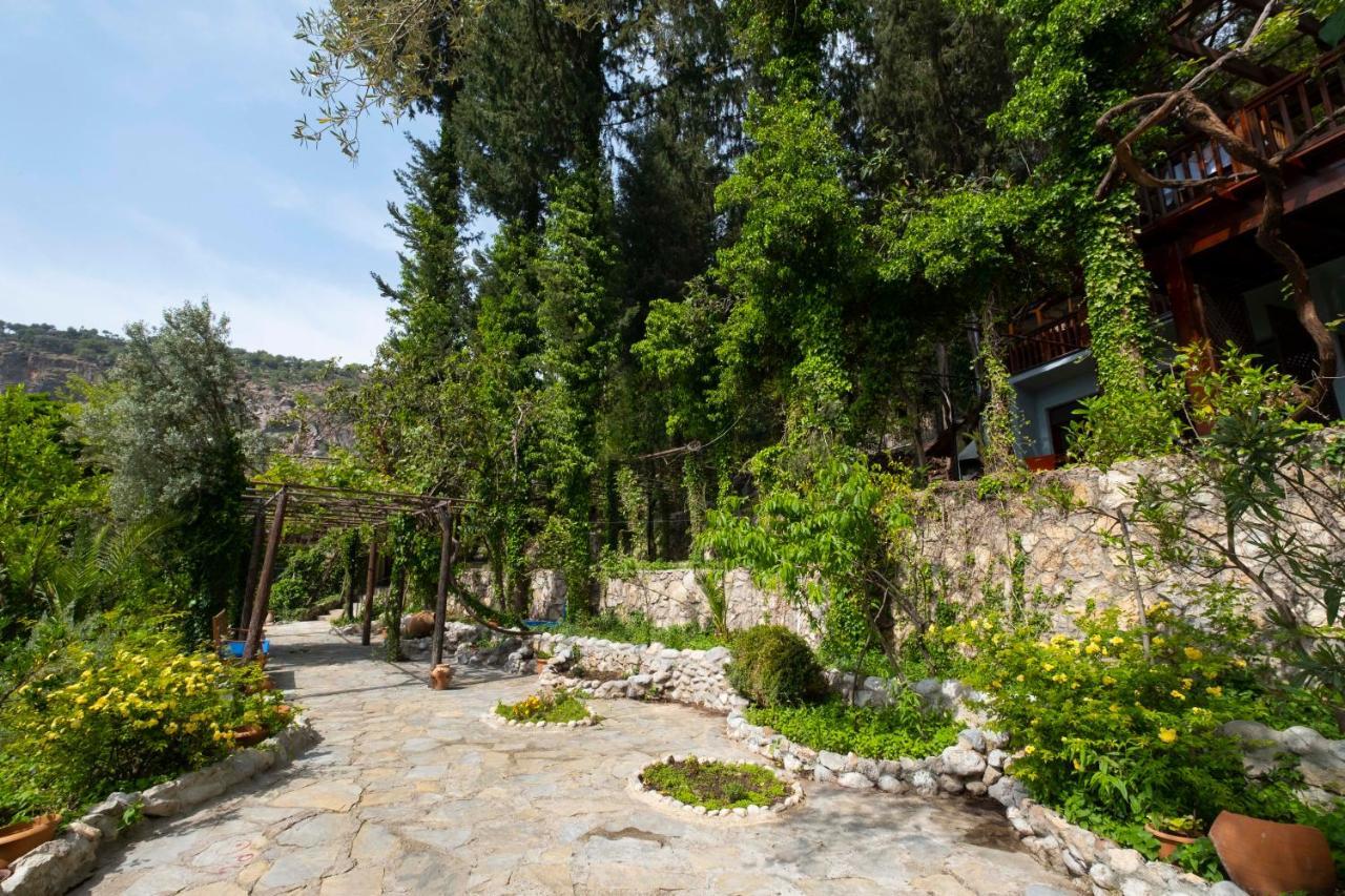 Watermill & Faralya Fethiye