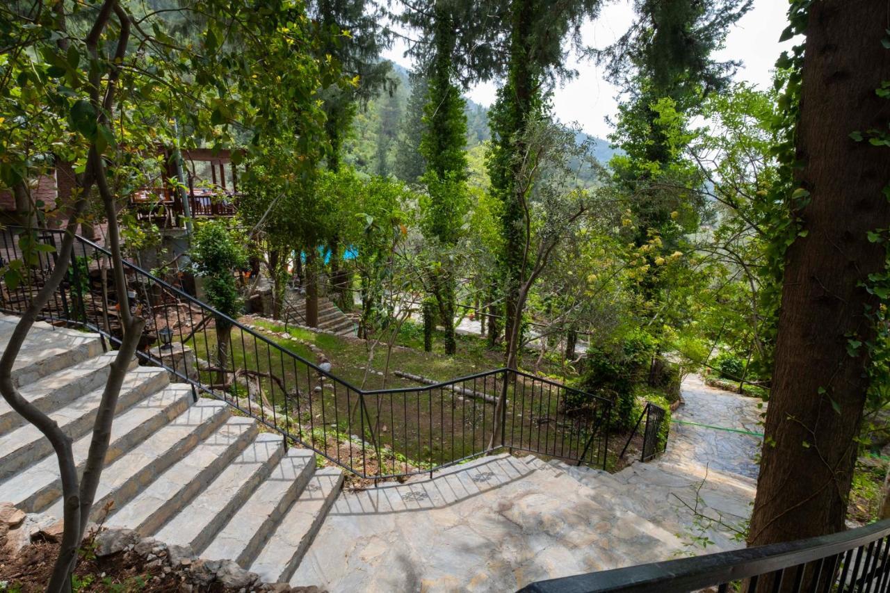 Watermill & Faralya Hotel