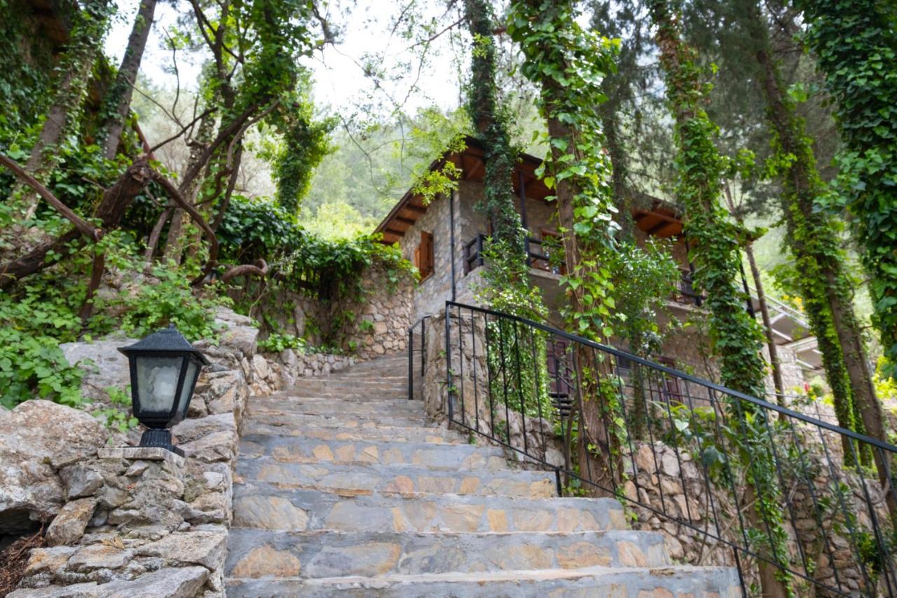 Hotel Watermill & Faralya