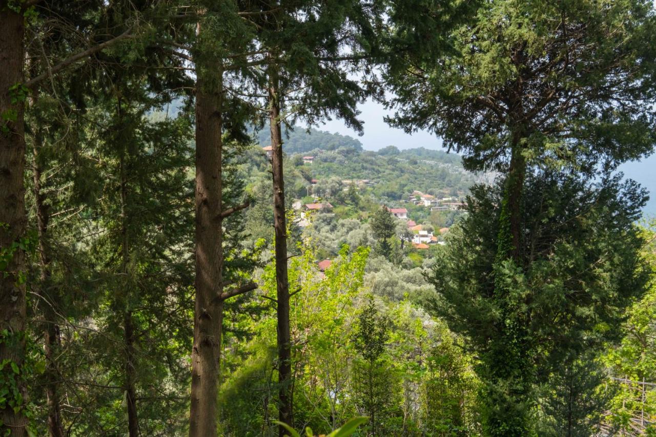 Hotel Watermill & Faralya