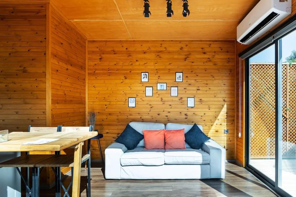 Alley Tiny House *