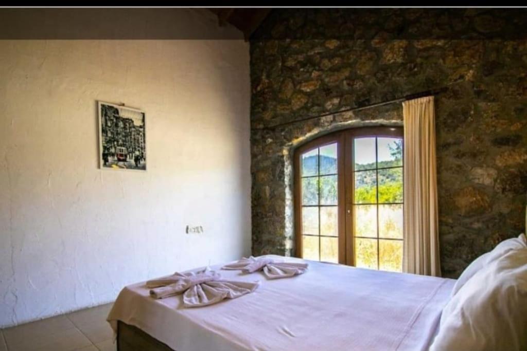 Villa Pitzer 2 *