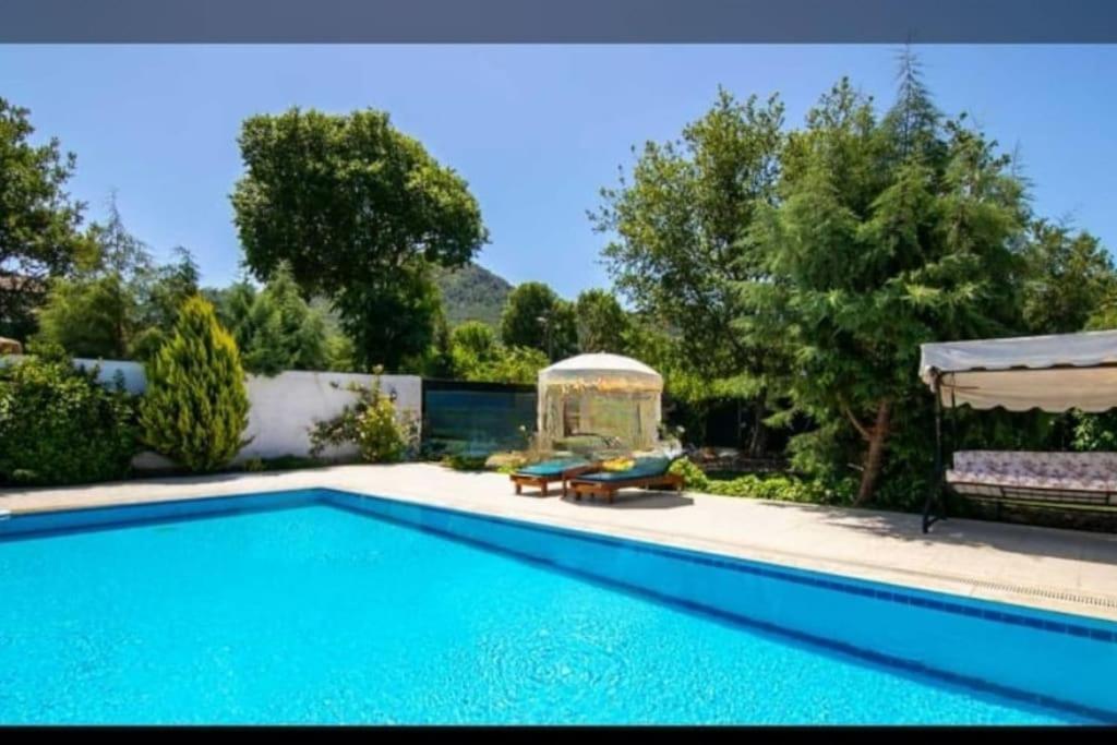 Villa Pitzer 2 *