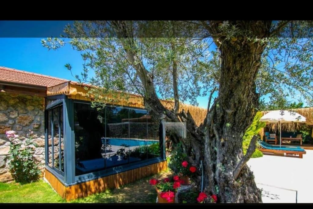 Villa Pitzer 2 Fethiye