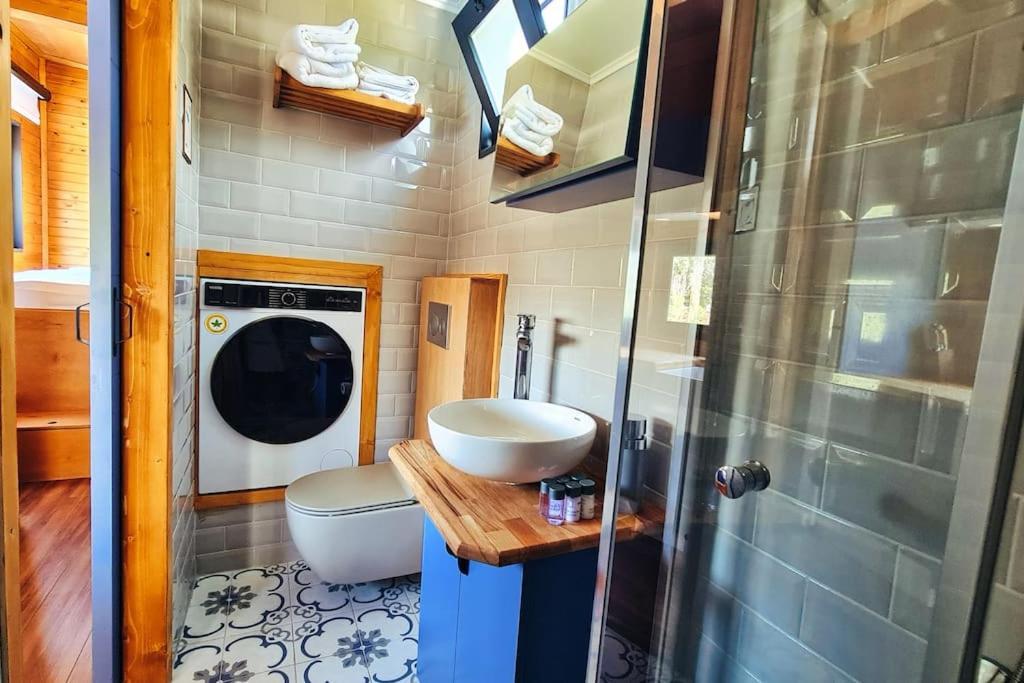 Alley Tiny House