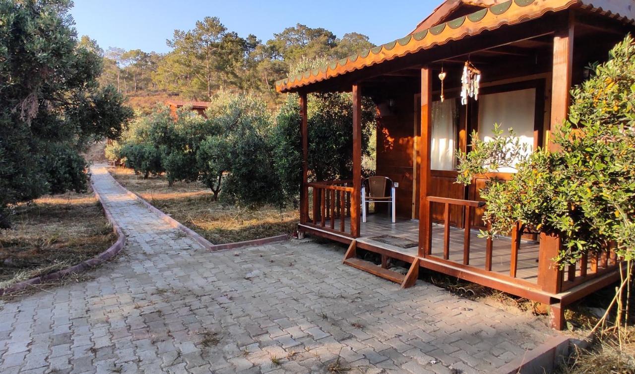 Olive Garden Bungalow Holiday home *