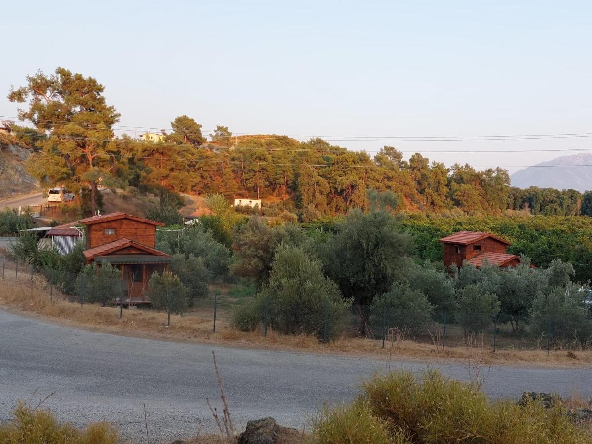 Olive Garden Bungalow * Fethiye