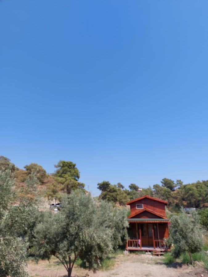 Olive Garden Bungalow * Fethiye