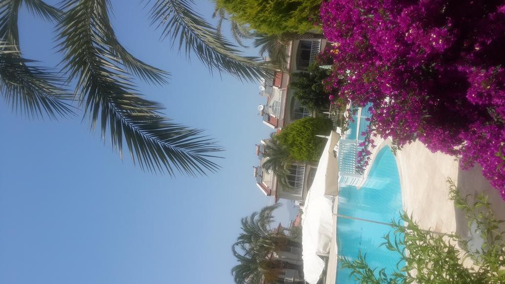 Mulberry Villas *