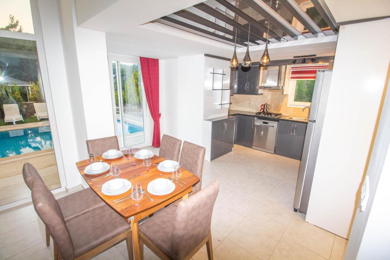 Villa Silver Yunus Villa, Oezel Havuzlu, *