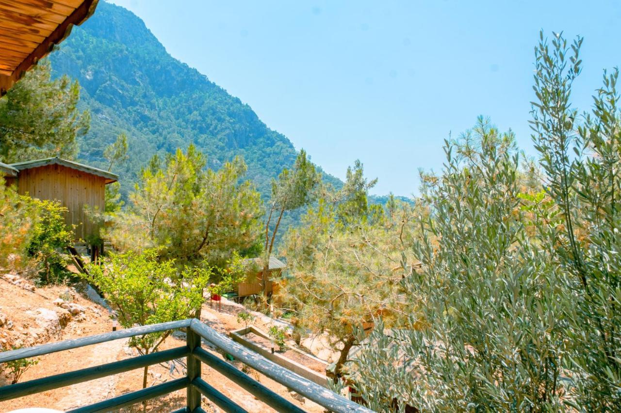 Tree Otel Fethiye
