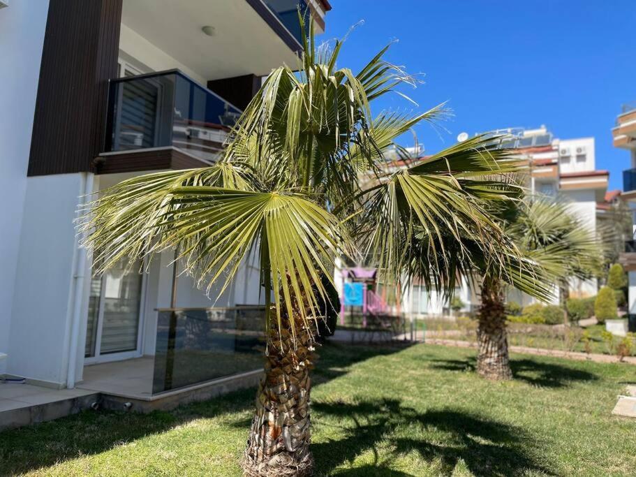 Diamond Fethiye