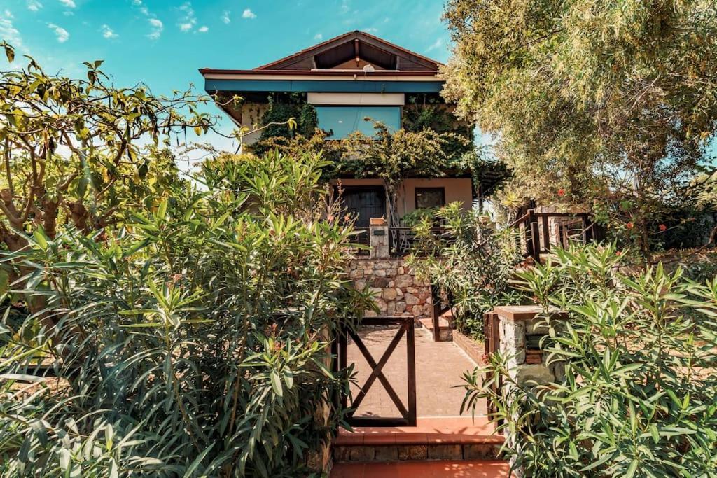Casa Punto Villa