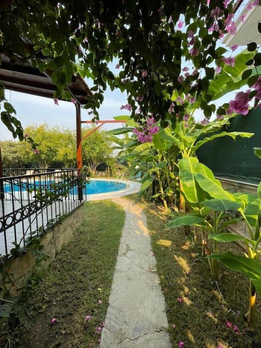 Villa Private On Center. *