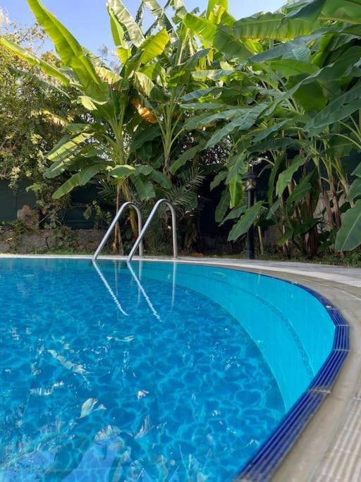 Villa Private On Center. *