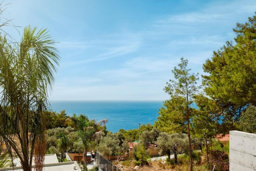 The Grey Houses - Dark Grey Fethiye