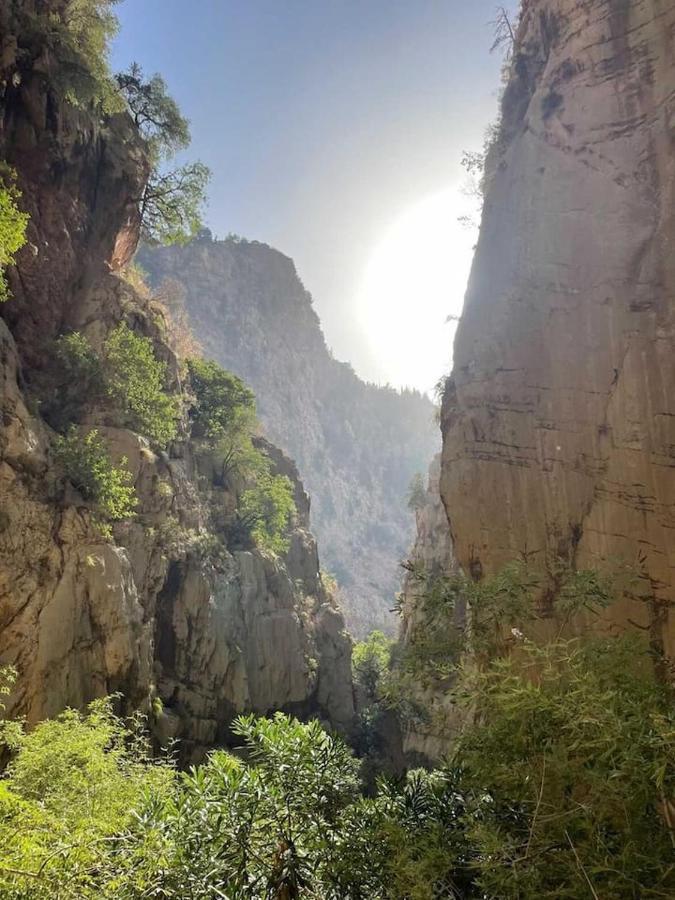 Butterfly Valley Glamping Luxury tent