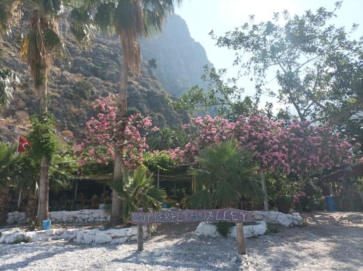 Butterfly Valley Glamping Luxury tent