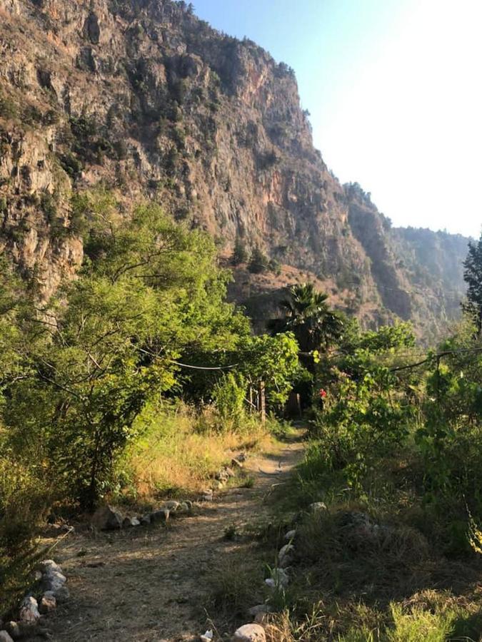 Luxury tent Butterfly Valley Glamping Fethiye