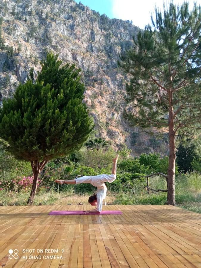 Butterfly Valley Glamping Luxury tent *