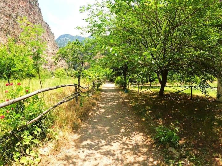 Luxuszelt Butterfly Valley Glamping