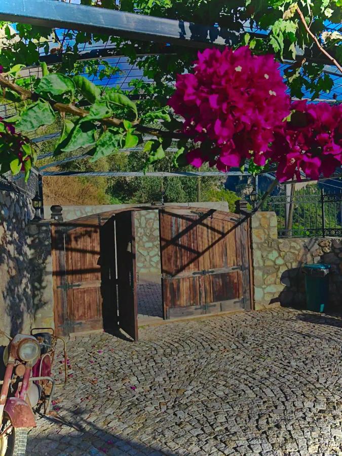 Kalabantia House *
