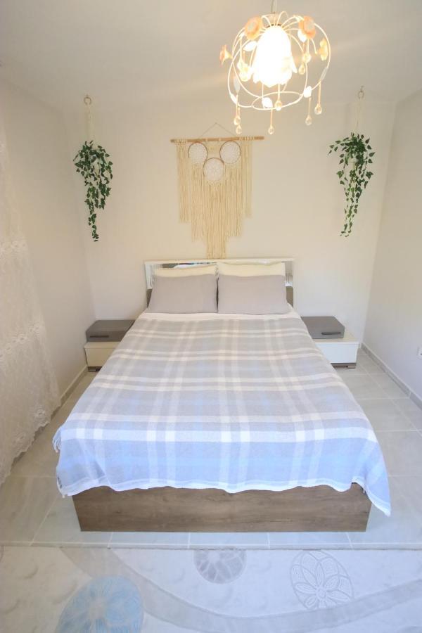 Villa Olive Garden House *
