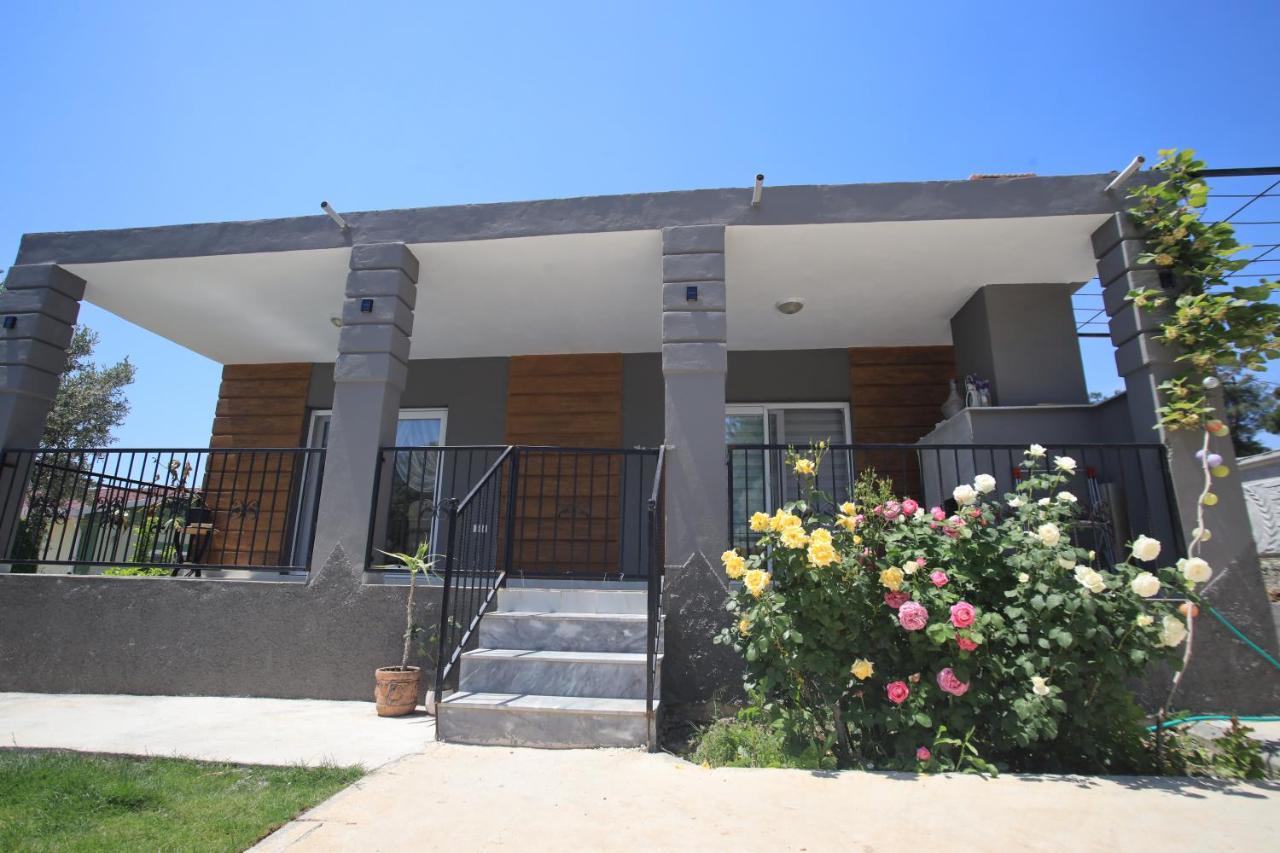 Olive Garden House Villa