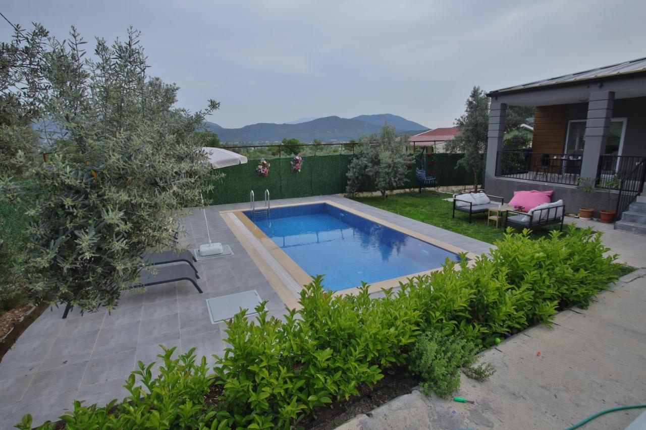 Villa Olive Garden House